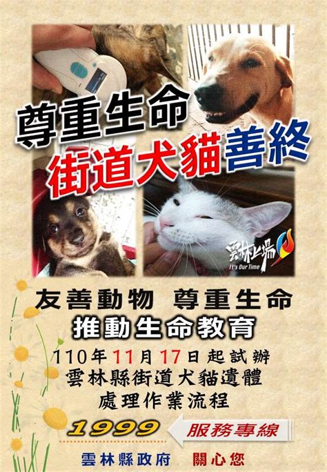 路邊狗狗死掉|街道犬貓遺體善終處理 雲林縣府尊重生命1999今正式。